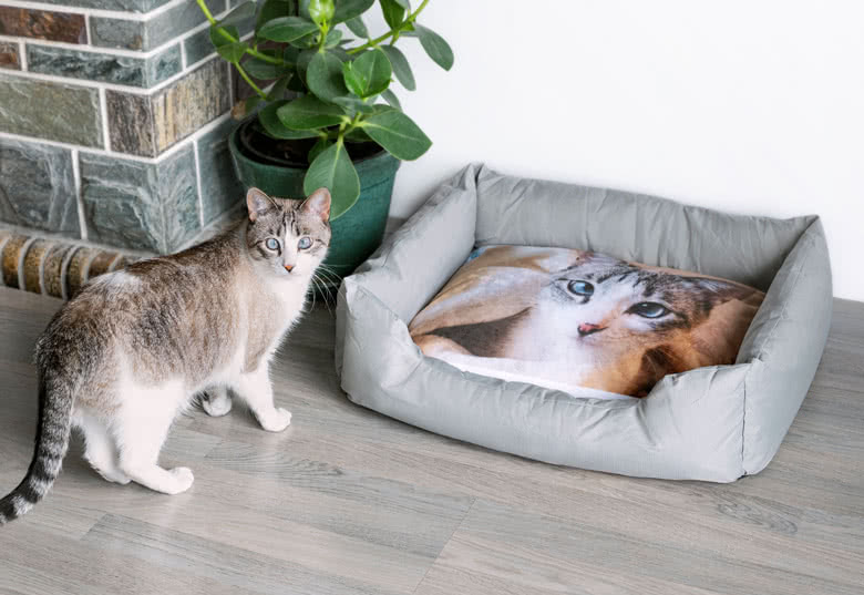 Accessoires met naam en foto dieren